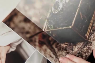 design canva journal ebook trifold brochure flip book certificate flyer bifold