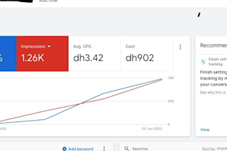 do google ads campaign audit and PPC campaign optimization