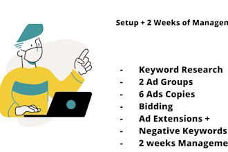 setup, optimize, and manage google PPC ads campaigns