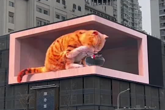craft a stunning 3d cgi animation for your upcoming project