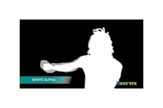 do hollywood level rotoscoping, chroma keying, roto paint ,wire removal services