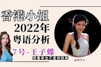 add srt subtitles to videos in chinese, english, cantonese