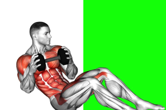 create fitness workout animations about anatomy of fitness and bodybuilding