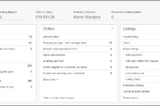 manage your ebay seller account for dropshipping
