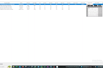create a custom python tkinter desktop application