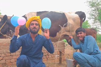 do african happy birthday video or funny happy birthday video