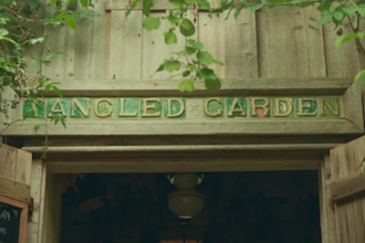 do cinematic wedding video editing highlight videos, teasers