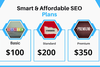 provide monthly SEO service for 1st page google rankings