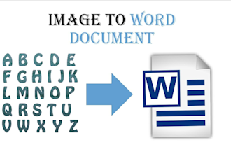 do a fast typing job, retype scanned pages, pdf to word, pro typist