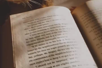 developmental edit proofread format self help book non fiction children book
