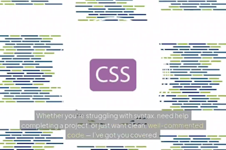do python java  c plus plus ai assignments debugging