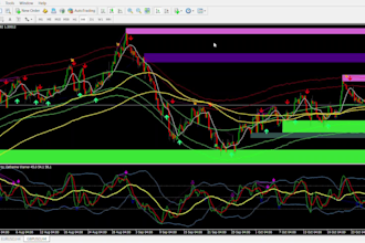 create trading videos on forex and crypto currency