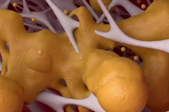 create a stunning 3d medical animation for anatomy or surgical procedures