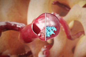 create 3d medical animation 3d anatomy 3d scientific animation, medical video