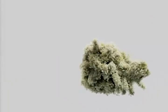 do 3d plant animation 3d cgi animation 3d plant vfx  3d simulation in houdini