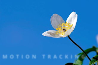 make your instagram or youtube explanation video using stock footage