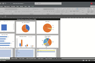 perform excel data cleanup, analysis, and visualization