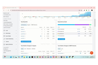 boost your SEO with detailed semrush competitor analysis reports