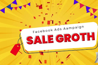 be expert facebook ads campaign manager
