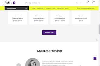 build you a modern wordpress or shopify website for your business