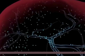 3d medical animation 3d anatomy biotech orthopedic, 3d surgical device animation