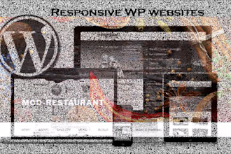 build responsive and clean wordpress website