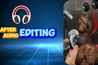 noise reduction audio editing
