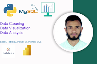 be your data analyst in tableau, power bi, python, sql, and excel