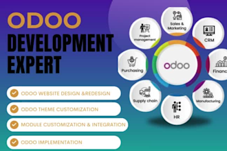 implement odoo erp custom reports modules odoo certified functional consultant