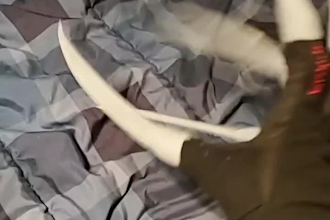 3d print any model and send it to you