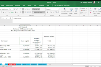 do bookkeeping, balance sheet, profit loss statements, year end accounts