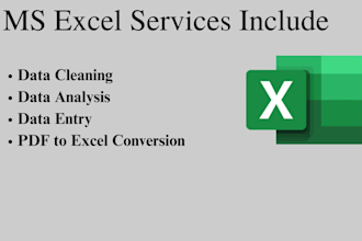 be your professional data cleaner and data analyst on excel