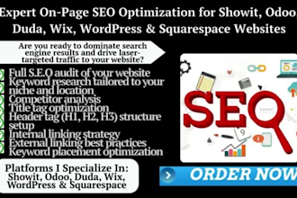 optimize onpage SEO on showit, odoo, duda, wix, wordpress or squarespace website