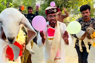 wish african happy birthday video or say your massage videos