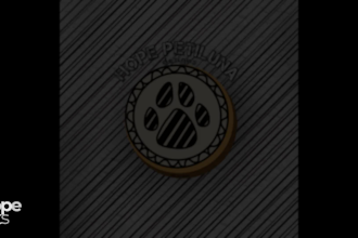 design a drawn logo