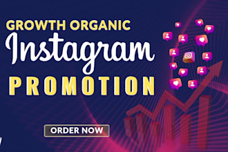 do instagram promotion for rapid growth