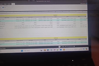 clean, analyze, and visualize your data professionally