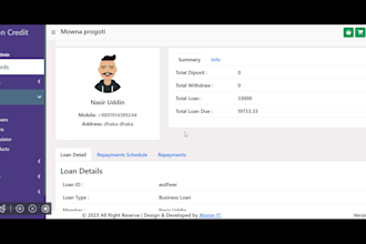 professional micro credit software development with laravel and vuejs 3