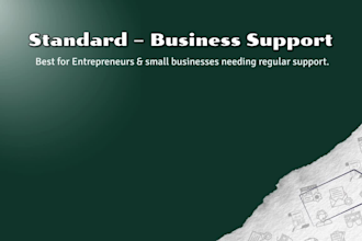 be your executive virtual assistant