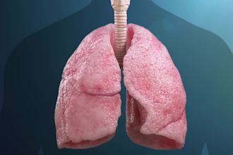 do 3d medical animation