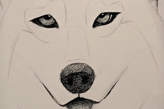 draw a realistic pencil sketch from your photo