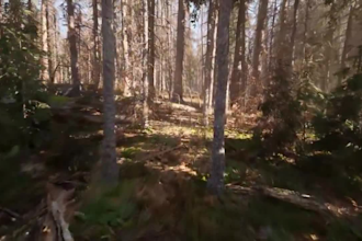 create a stunning 3d game environment for you in unreal engine