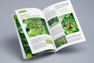 create a nice ebook and magazine with adobe indesign
