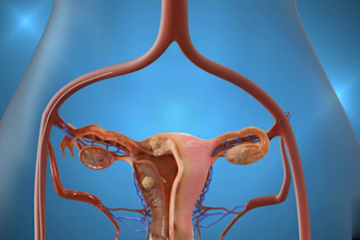 create 3d medical animation video surgery animation anatomy healthcare animation
