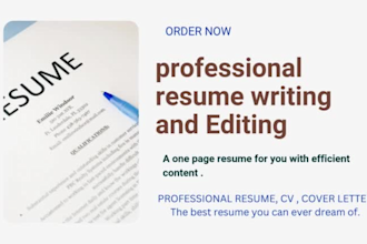 provide a professional resume perfect for your job hunt