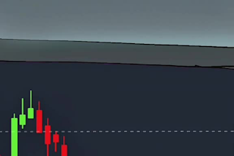 2d memecoin, 2d memecoin video, meme video, crypto meme, wojak meme