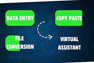 do virtual assistant , excel data entry, file conversion, typing , data entry