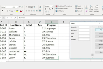 do data entry, typesetting, and create an annual budget spreadsheet planner