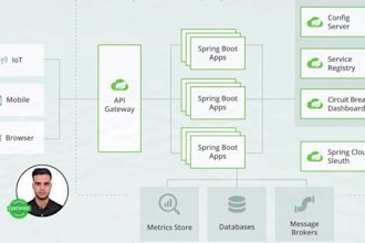 develop custom java spring boot backends, rest apis, graphql, grpc, and fix bugs