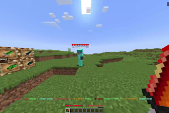 code a custom minecraft plugin for your server